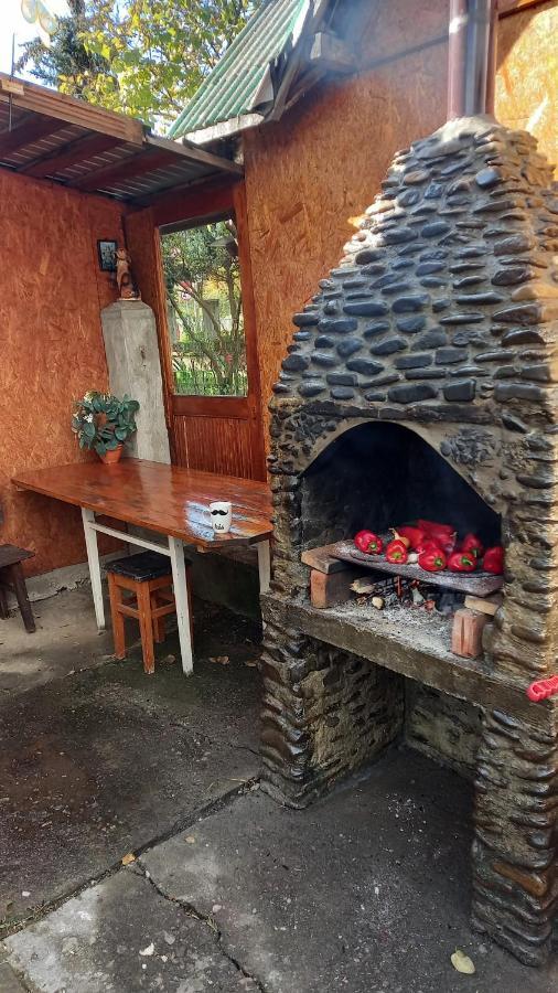 Casa Cu Lavandă Vatra Dornei Exterior foto