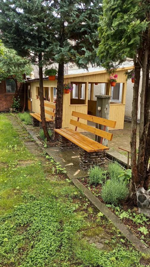Casa Cu Lavandă Vatra Dornei Exterior foto