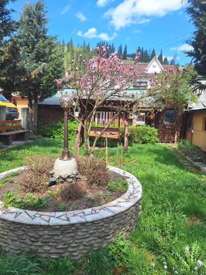 Casa Cu Lavandă Vatra Dornei Exterior foto