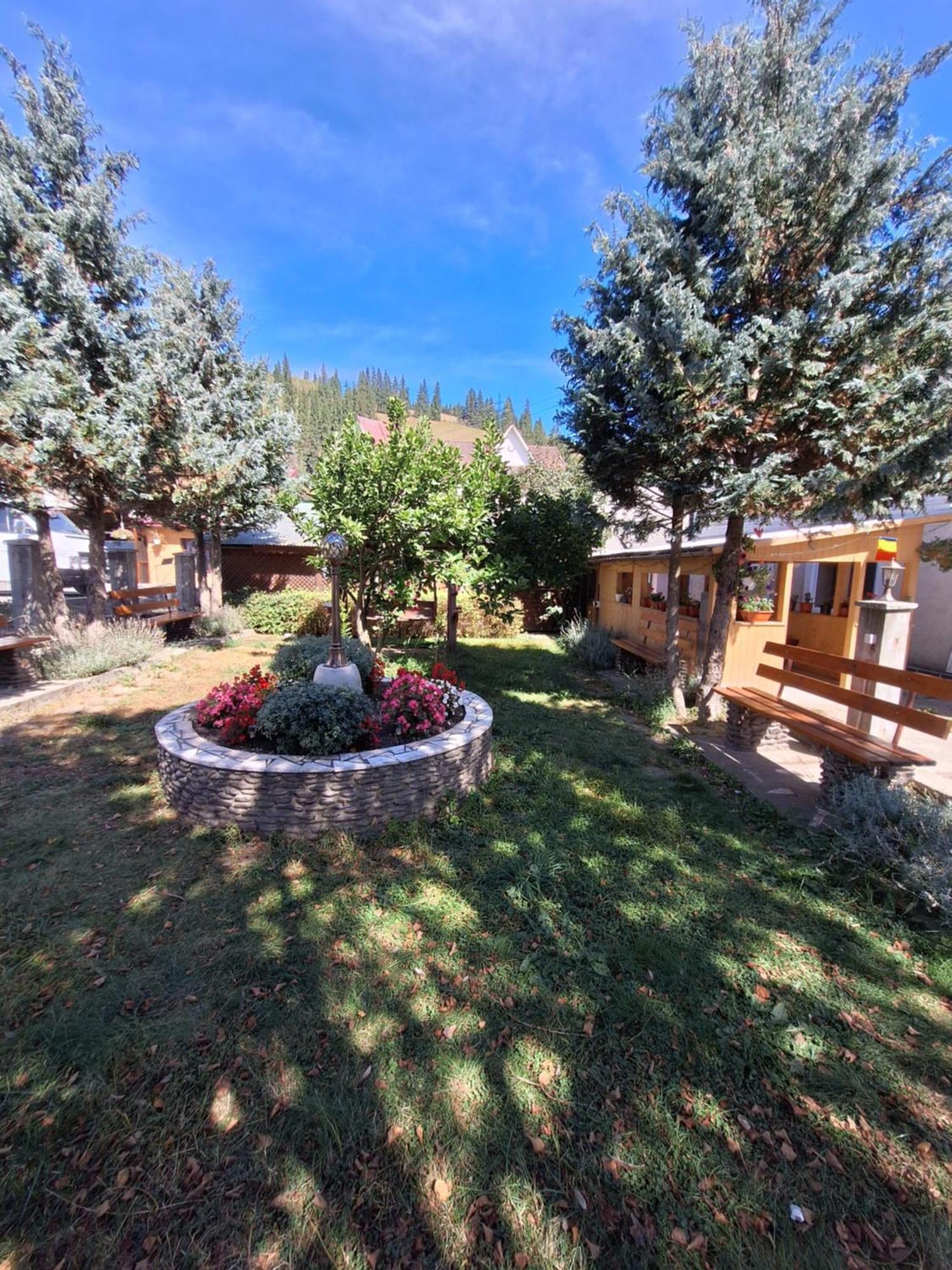 Casa Cu Lavandă Vatra Dornei Exterior foto