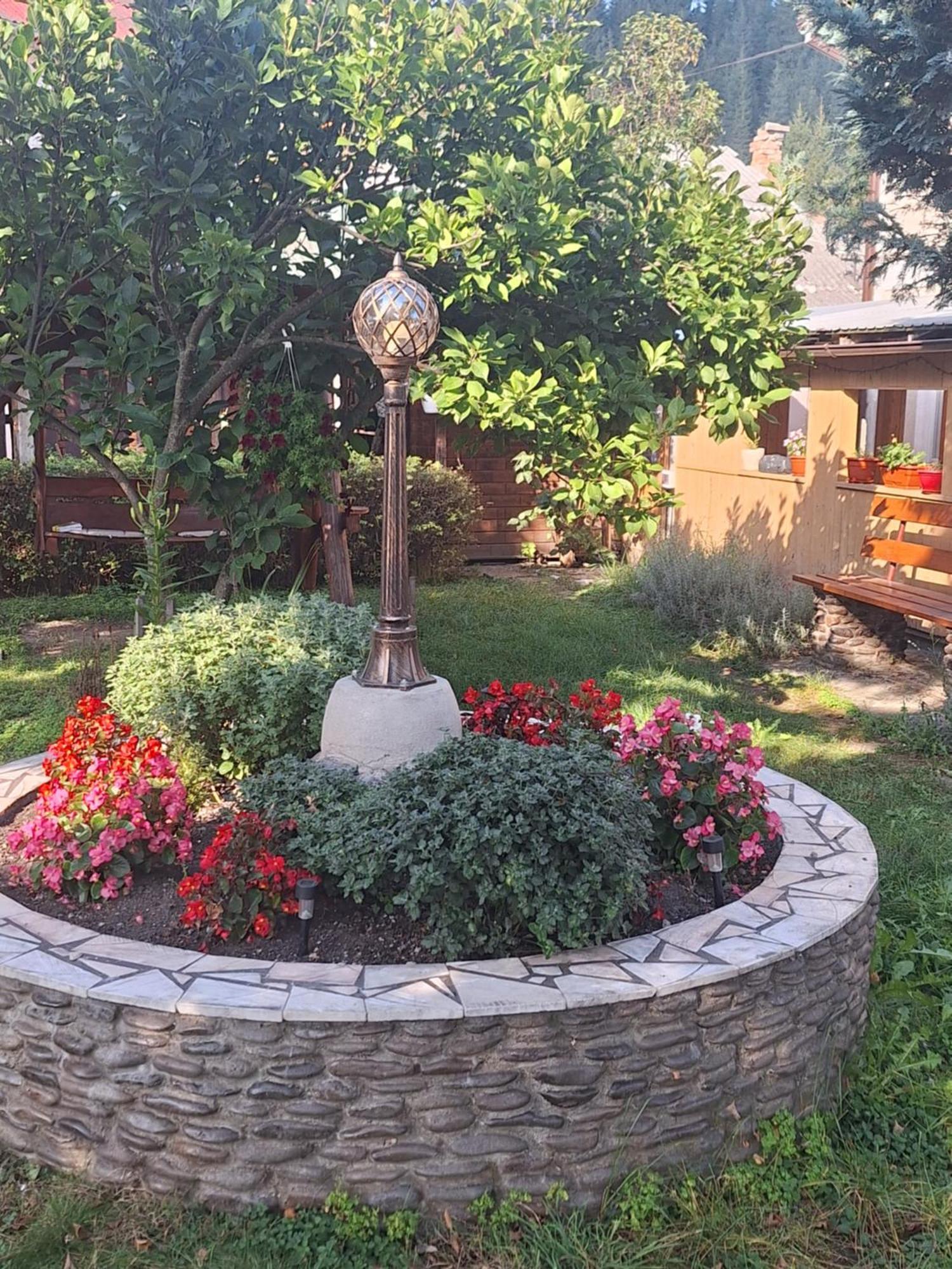 Casa Cu Lavandă Vatra Dornei Exterior foto